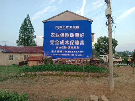 南安墙体广告为何受追捧？