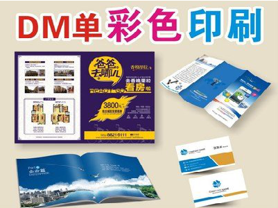 南安单页印刷，色彩搭配简单。